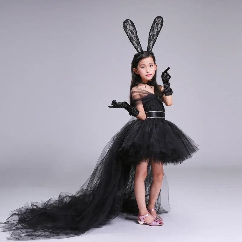 תחפשות ארנבת